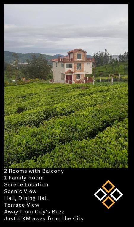 Drizzledale Ooty