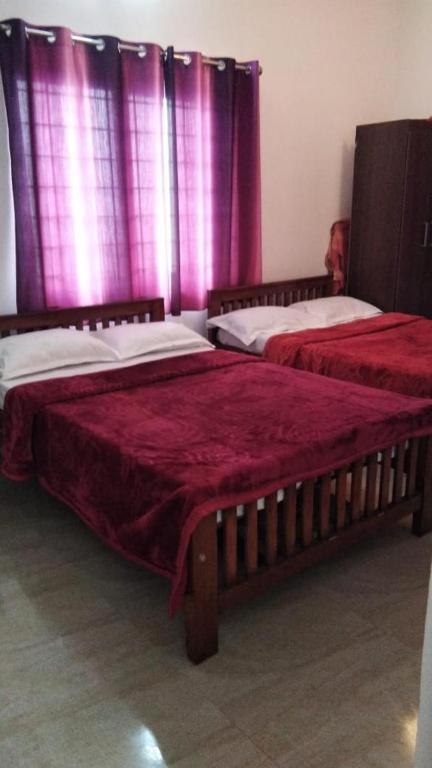 Drizzledale Homestay *