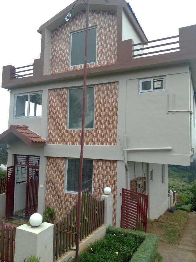 Homestay Drizzledale *