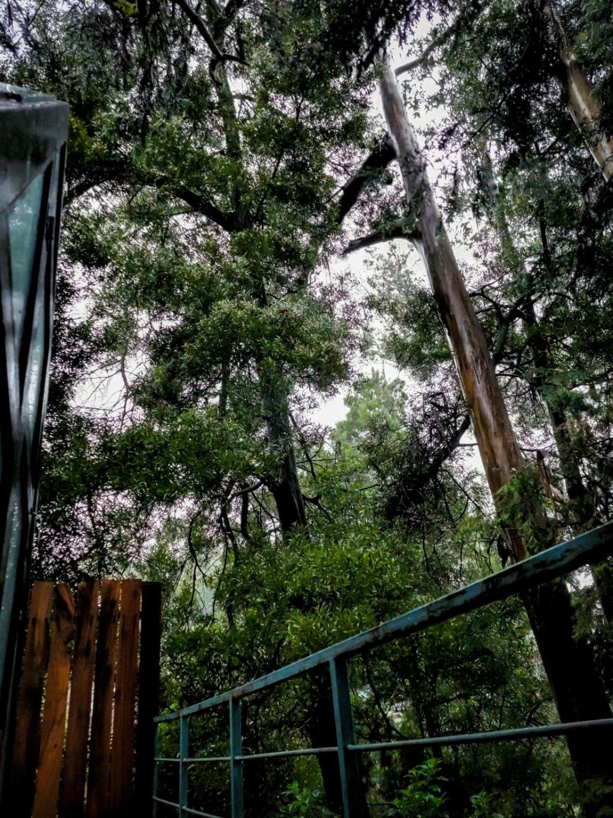 Woodside * Ooty