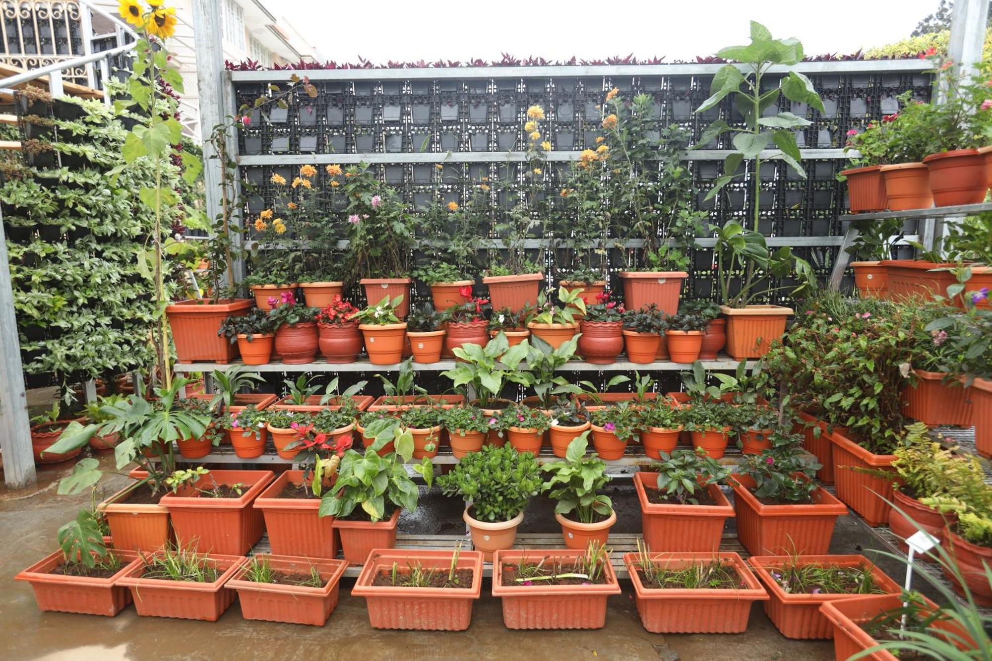 Delightz Resort Ooty