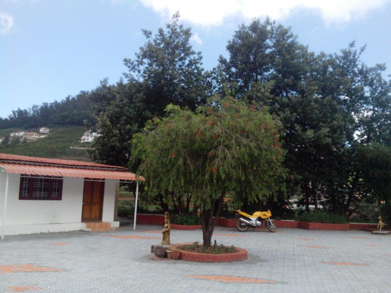 Magic Mist Resort
