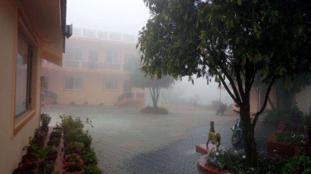 Resort Magic Mist