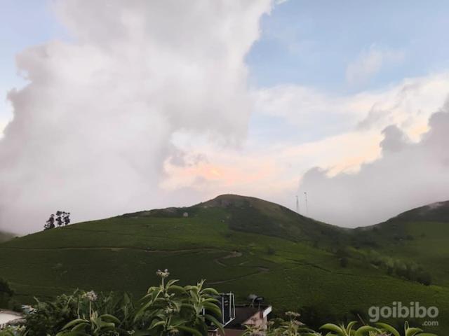 The Dew Nest Ooty