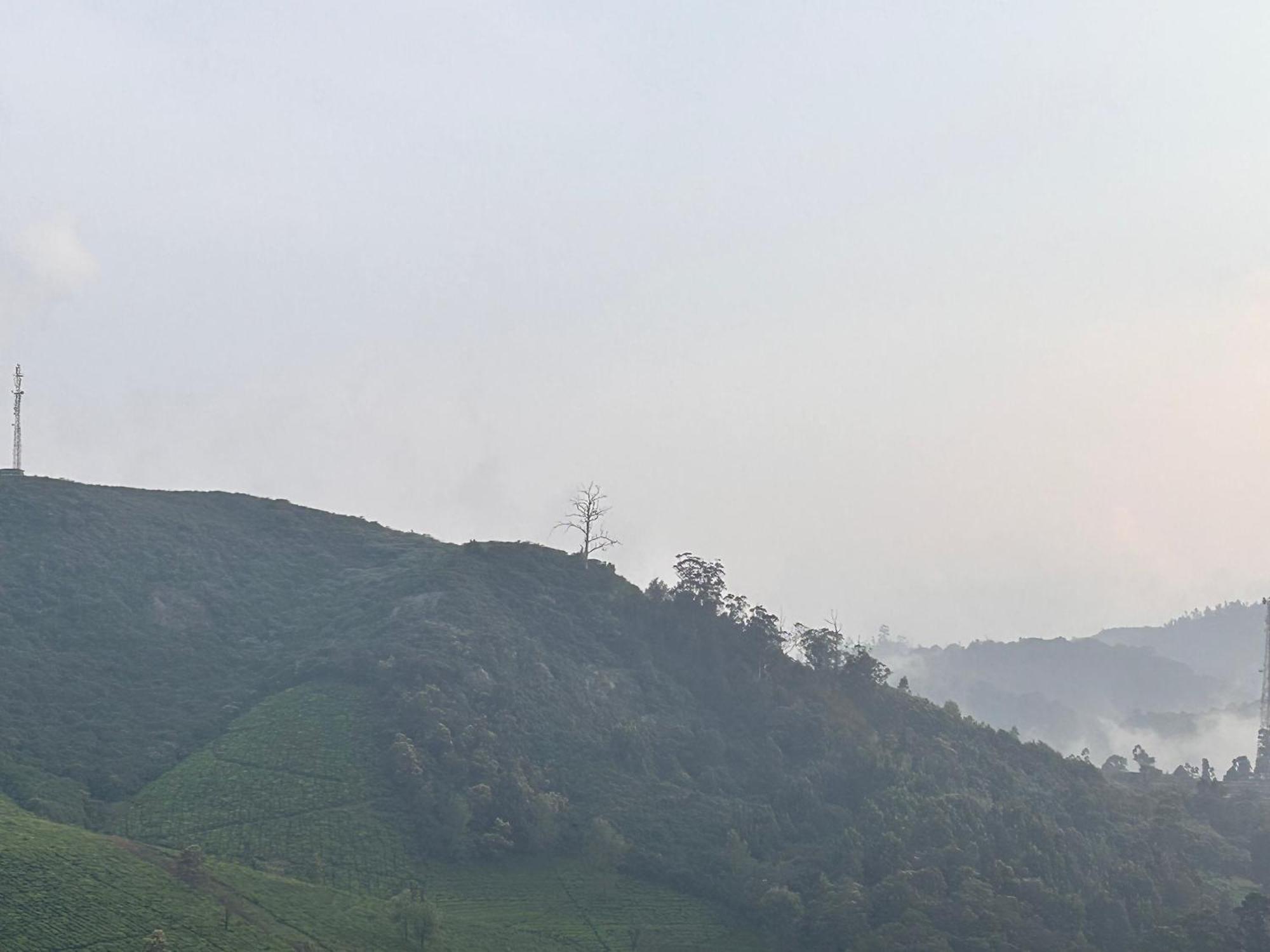 The Dew Nest Guest house Ooty