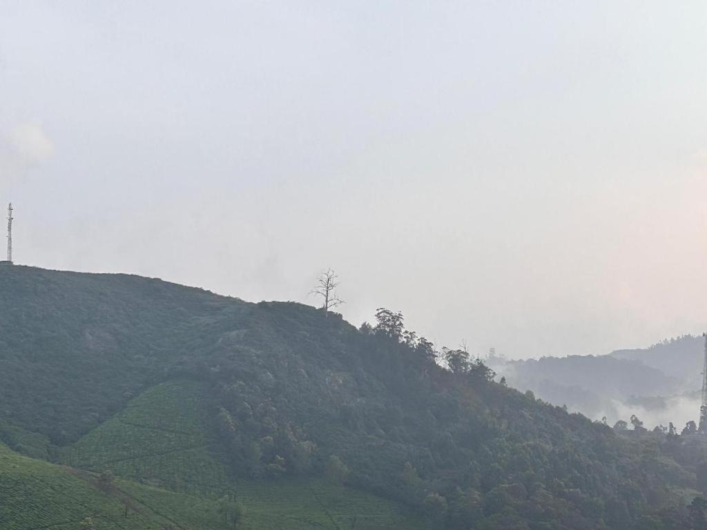 The Dew Nest Guest house *