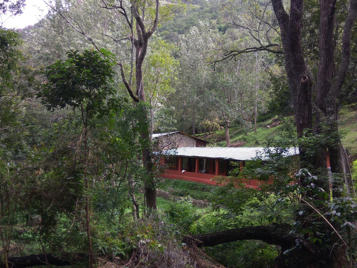 Secret Valley Jungle Ooty