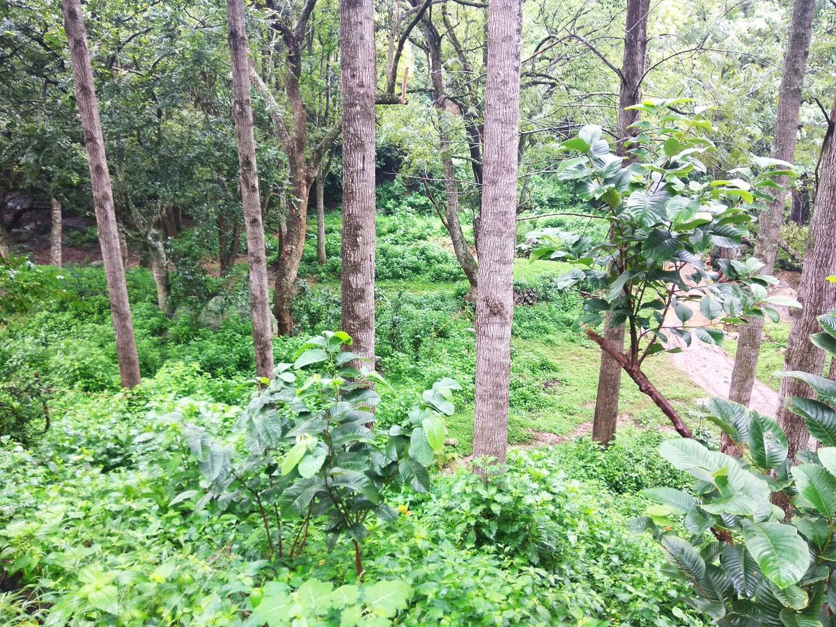 Resort Secret Valley Jungle